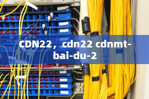 CDN22，cdn22 cdnmt-bai-du-2