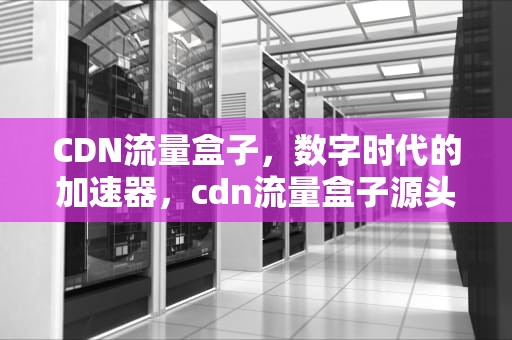 CDN流量盒子，数字时代的加速器，cdn流量盒子源头厂家有哪些