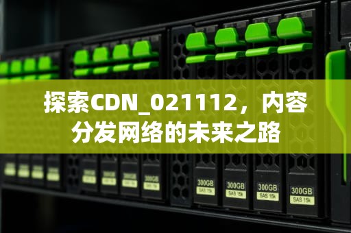 探索CDN_021112，内容分发网络的未来之路