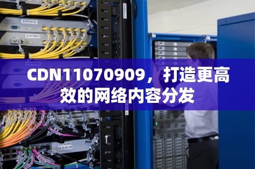 CDN11070909，打造更高效的网络内容分发