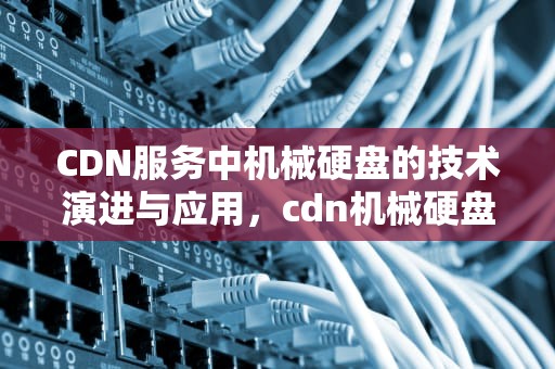 CDN服务中机械硬盘的技术演进与应用，cdn机械硬盘能跑吗