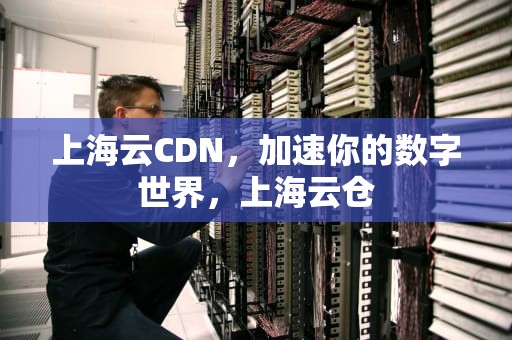 上海云CDN，加速你的数字世界，上海云仓