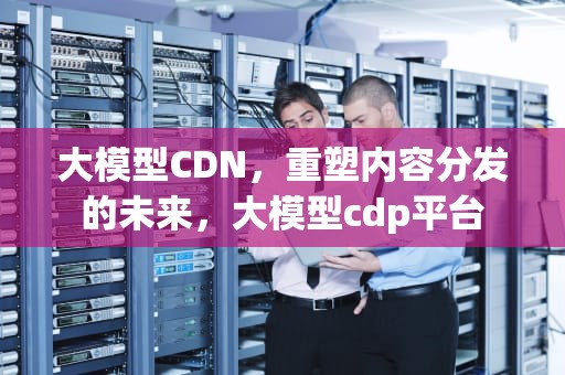 大模型CDN，重塑内容分发的未来，大模型cdp平台