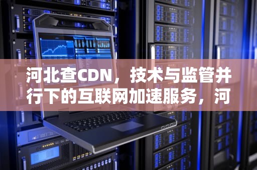 河北查CDN，技术与监管并行下的互联网加速服务，河北查号台号码是多少