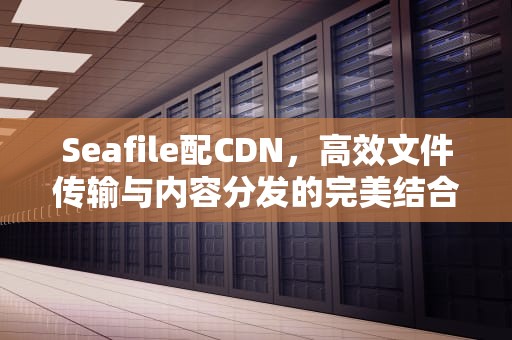 Seafile配CDN，高效文件传输与内容分发的完美结合