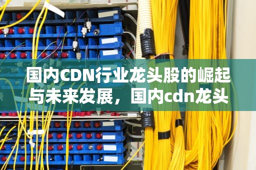 国内CDN行业龙头股的崛起与未来发展，国内cdn龙头企业