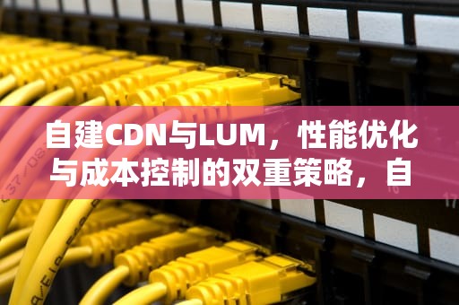 自建CDN与LUM，性能优化与成本控制的双重策略，自建cdn 非法经营