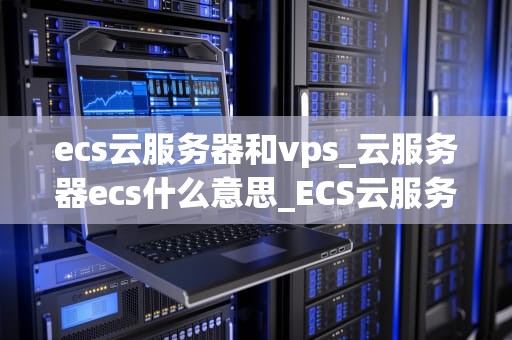 ecs云服务器和vps_云服务器ecs什么意思_ECS云服务器与VPS的比较分析