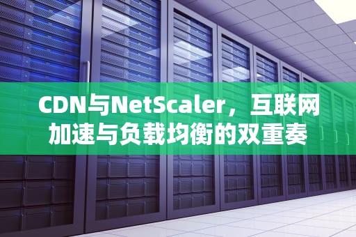 CDN与NetScaler，互联网加速与负载均衡的双重奏