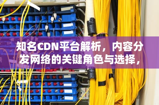 知名CDN平台解析，内容分发网络的关键角色与选择，cdn厂商排名
