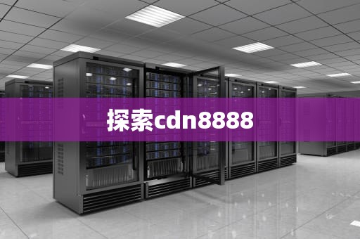 探索cdn8888