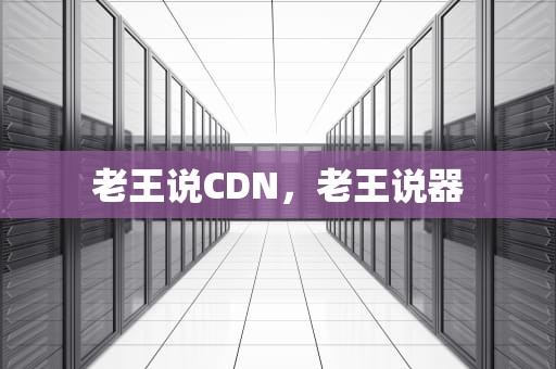 老王说CDN，老王说器