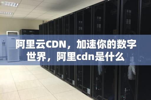 阿里云CDN，加速你的数字世界，阿里cdn是什么