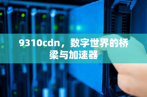 9310cdn，数字世界的桥梁与加速器