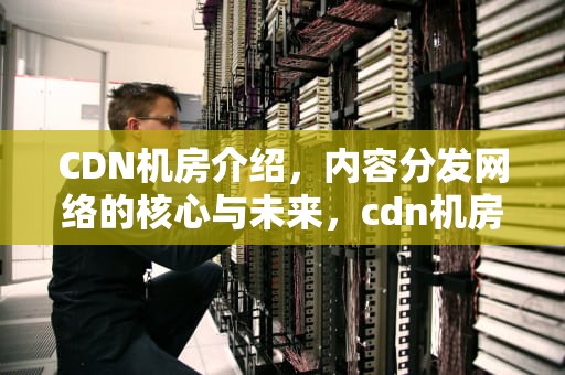 CDN机房介绍，内容分发网络的核心与未来，cdn机房 成本