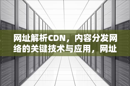 网址解析CDN，内容分发网络的关键技术与应用，网址解析工具