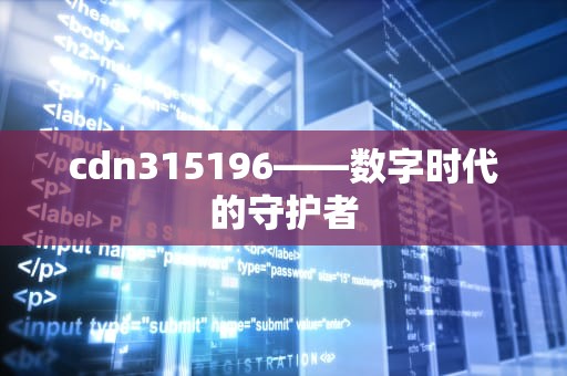 cdn315196——数字时代的守护者