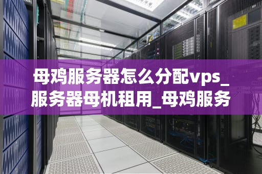 母鸡服务器怎么分配vps_服务器母机租用_母鸡服务器如何分配VPS