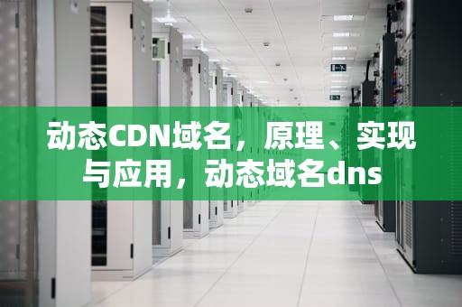 动态CDN域名，原理、实现与应用，动态域名dns