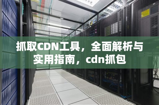 抓取CDN工具，全面解析与实用指南，cdn抓包