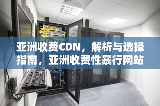 亚洲收费CDN，解析与选择指南，亚洲收费性暴行网站在线观看