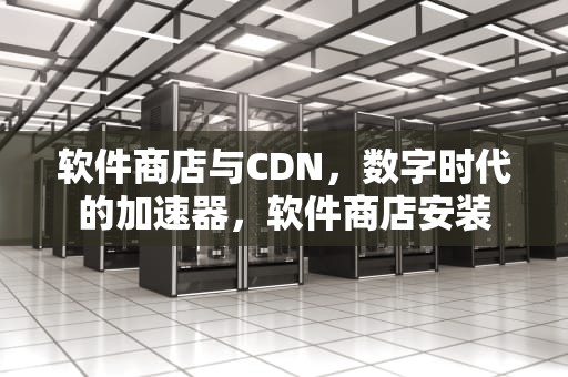 软件商店与CDN，数字时代的加速器，软件商店安装
