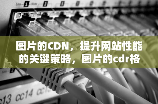 图片的CDN，提升网站性能的关键策略，图片的cdr格式