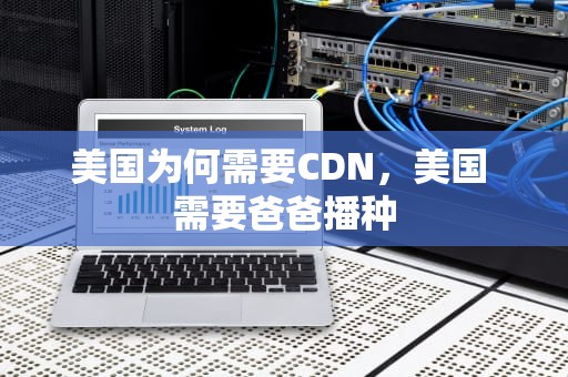 美国为何需要CDN，美国 需要爸爸播种
