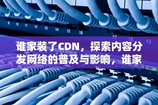谁家装了CDN，探索内容分发网络的普及与影响，谁家装了盼盼塞尼星空灰防盗门