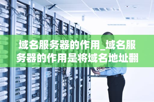 域名服务器的作用_域名服务器的作用是将域名地址翻译成IP地址_域名服务器的作用及其重要性