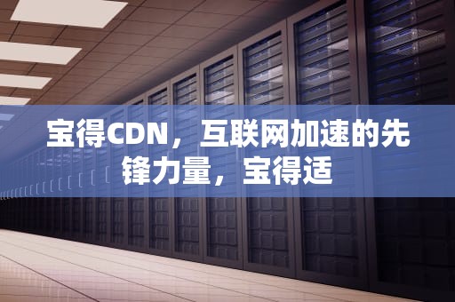 宝得CDN，互联网加速的先锋力量，宝得适