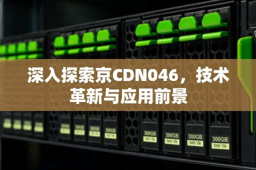 深入探索京CDN046，技术革新与应用前景
