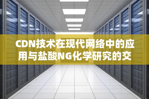 CDN技术在现代网络中的应用与盐酸NG化学研究的交叉启示，盐酸1n
