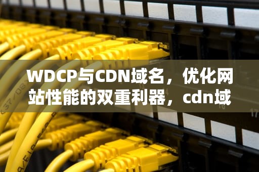 WDCP与CDN域名，优化网站性能的双重利器，cdn域名是什么意思