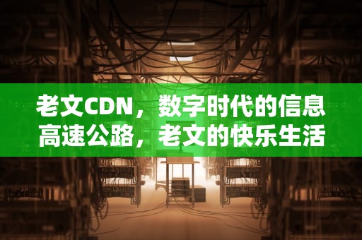 老文CDN，数字时代的信息高速公路，老文的快乐生活百家号
