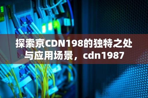 探索京CDN198的独特之处与应用场景，cdn1987