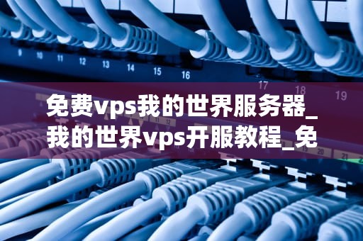 免费vps我的世界服务器_我的世界vps开服教程_免费VPS我的世界服务器的探索与实践