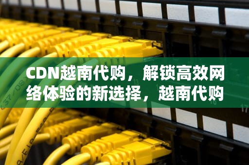 CDN越南代购，解锁高效网络体验的新选择，越南代购平台