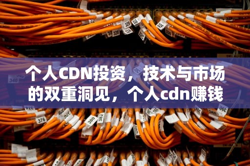 个人CDN投资，技术与市场的双重洞见，个人cdn赚钱
