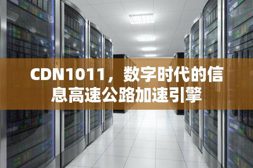 CDN1011，数字时代的信息高速公路加速引擎