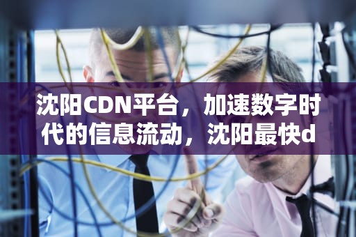 沈阳CDN平台，加速数字时代的信息流动，沈阳最快dns