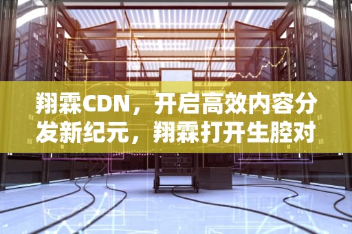翔霖CDN，开启高效内容分发新纪元，翔霖打开生腔对镜