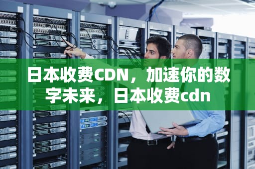 日本收费CDN，加速你的数字未来，日本收费cdn