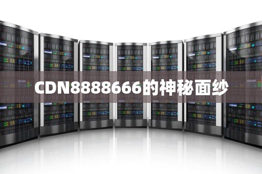 CDN8888666的神秘面纱