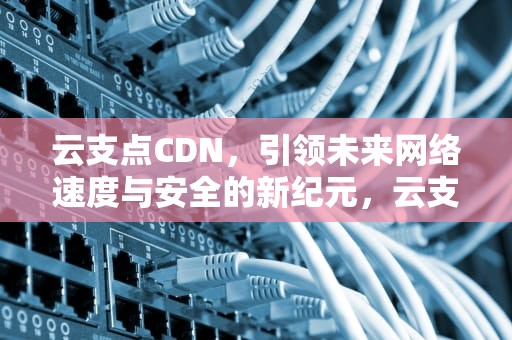 云支点CDN，引领未来网络速度与安全的新纪元，云支点CDN盒子是诈骗吗