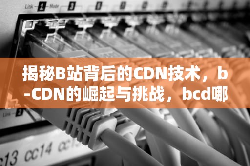 揭秘B站背后的CDN技术，b-CDN的崛起与挑战，bcd哪个罩杯大