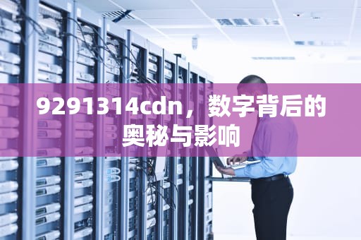 9291314cdn，数字背后的奥秘与影响