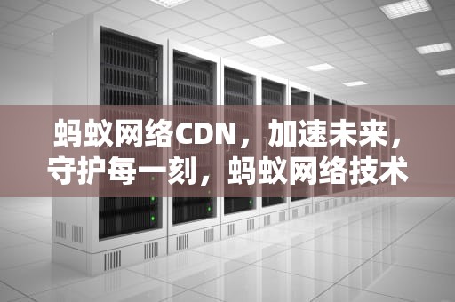 蚂蚁网络CDN，加速未来，守护每一刻，蚂蚁网络技术有限公司