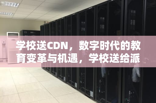 学校送CDN，数字时代的教育变革与机遇，学校送给派出所的锦旗内容怎么写