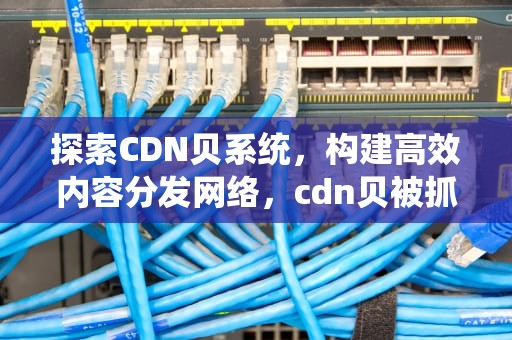 探索CDN贝系统，构建高效内容分发网络，cdn贝被抓